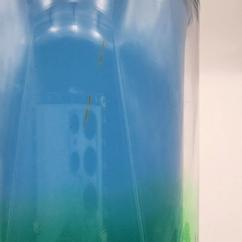 Starbucks Spring 2023 Blue Blossom Color Change with‎ Swirl Straw Topper Tumbler